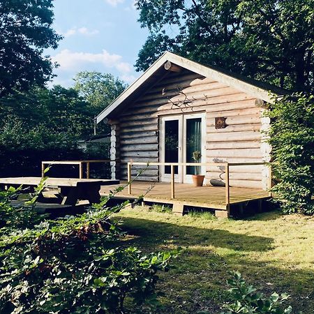 Knus Boomstamhuisje Op De Schatberg - Nabij Toverland Севенум Екстер'єр фото